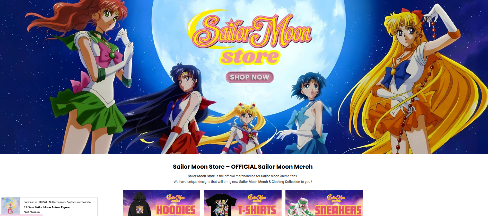 Annotation 2025 10 29 145046 - Baki Merch